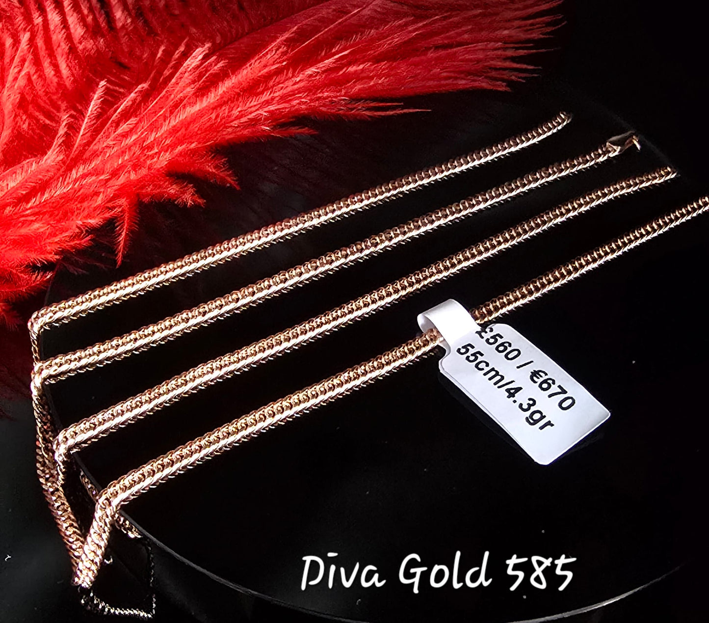 585 Gold chain 55cm