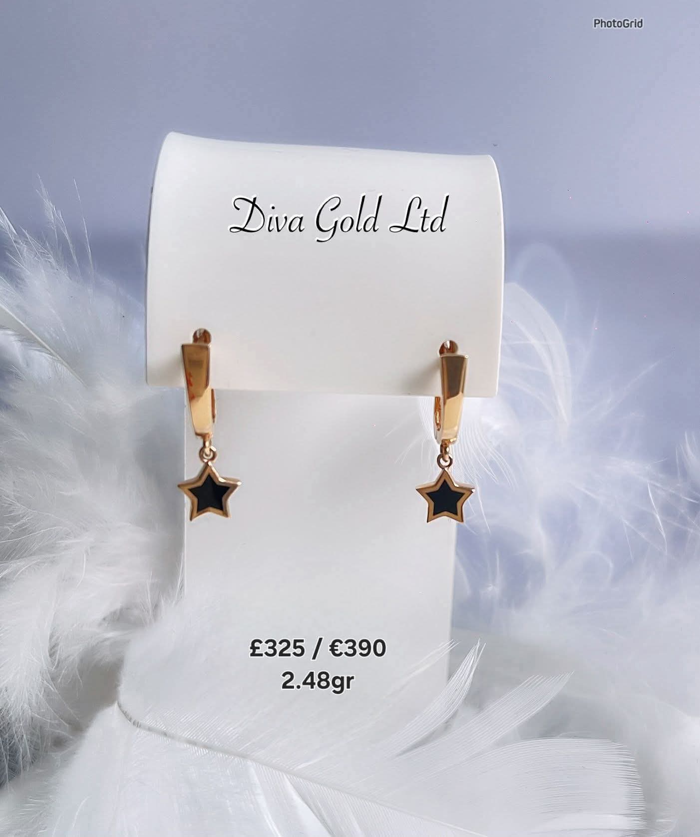 585 Gold earrings. 2.48gr