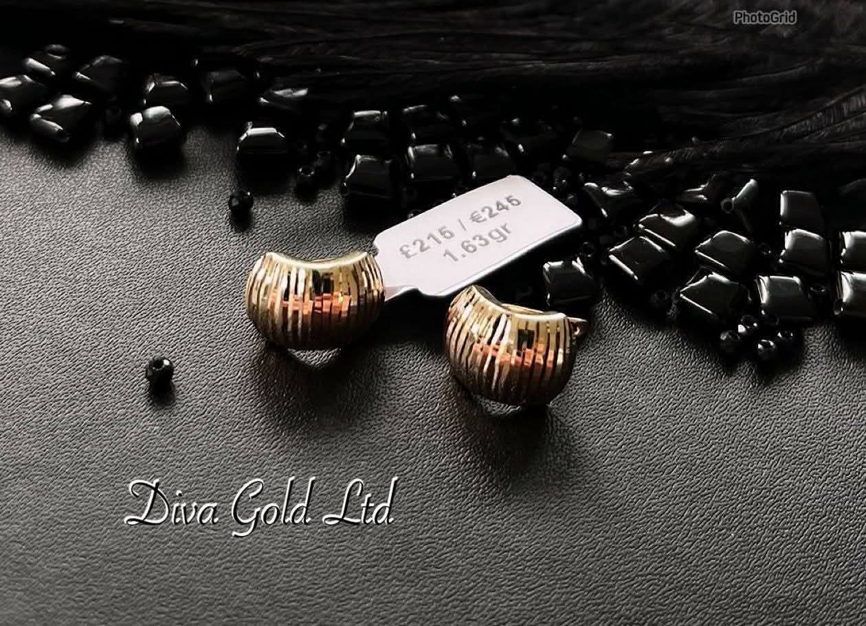 585 Gold earrings. 1.63gr