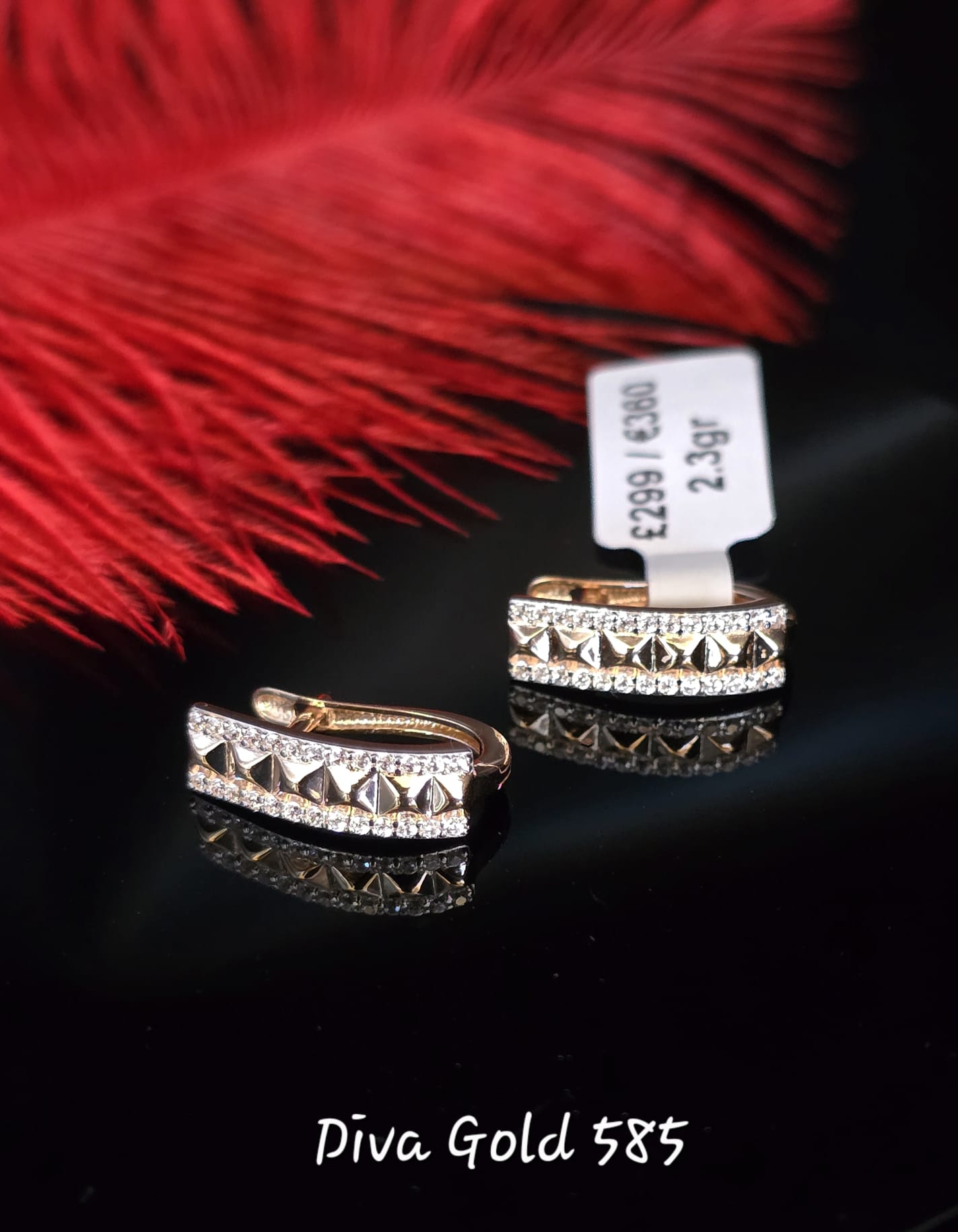 585 Gold earrings 2.30gr