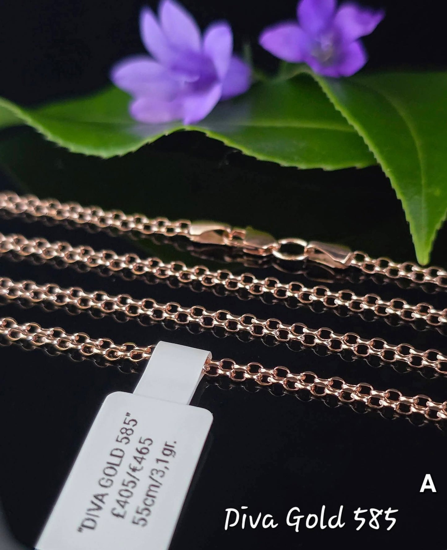 585 Gold chain 55cm. 3.1gr
