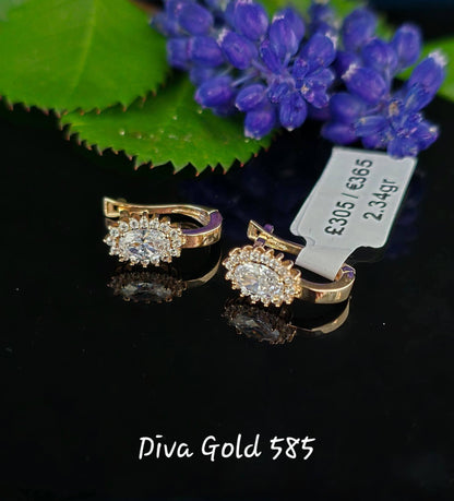 585 Gold earrings. 2.34gr