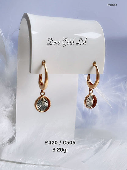 585 Gold earrings. 3.20gr