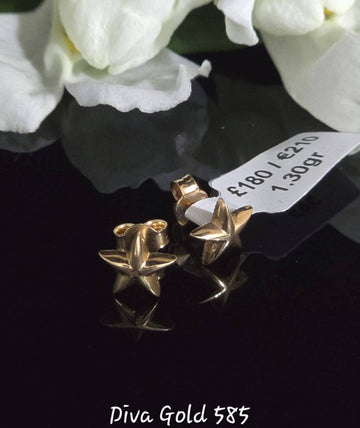 Stud star gold earrings.
