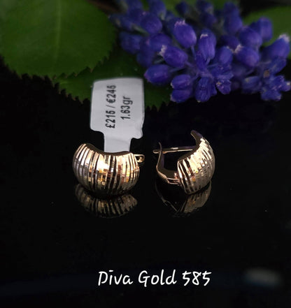 585 Gold earrings. 1.63gr