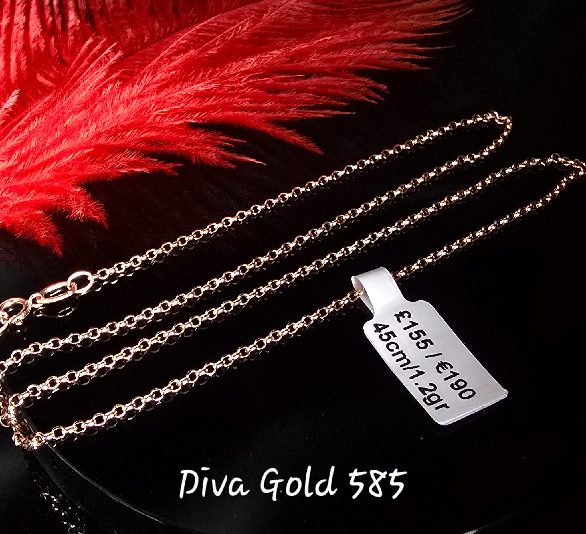 585 Gold chain 45cm