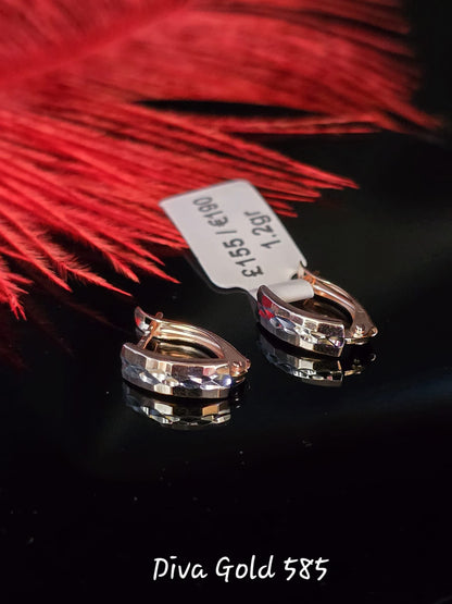 585 Gold earrings