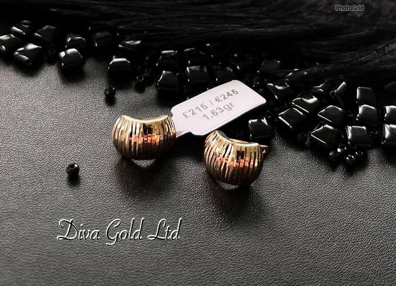 585 Gold earrings. 1.63 gram