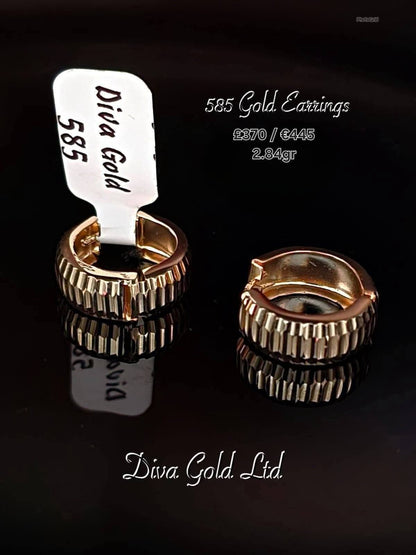 585 Gold earrings. 2.84gr