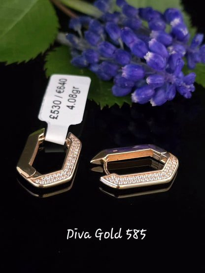 585 Gold earrings. 4.08gr