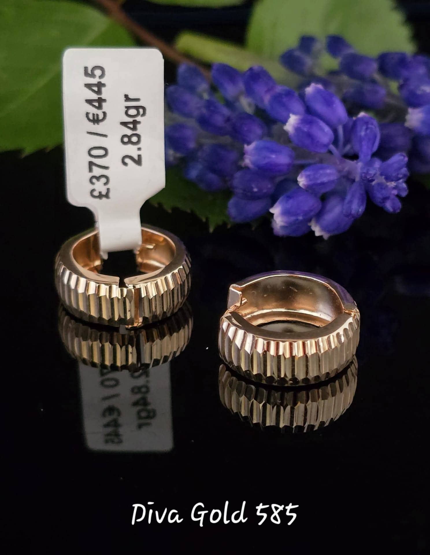 585 Gold earrings. 2.84gr