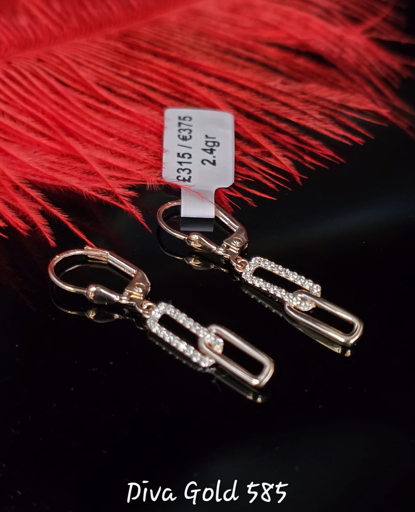 585 Gold earrings. 2.40gr