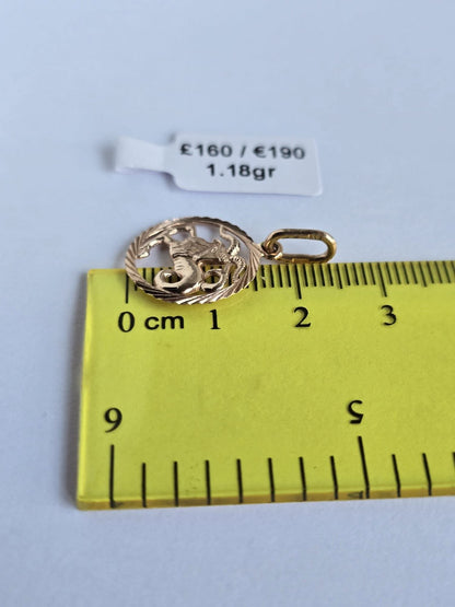 Golden zodiac capricorn. 1.18gr
