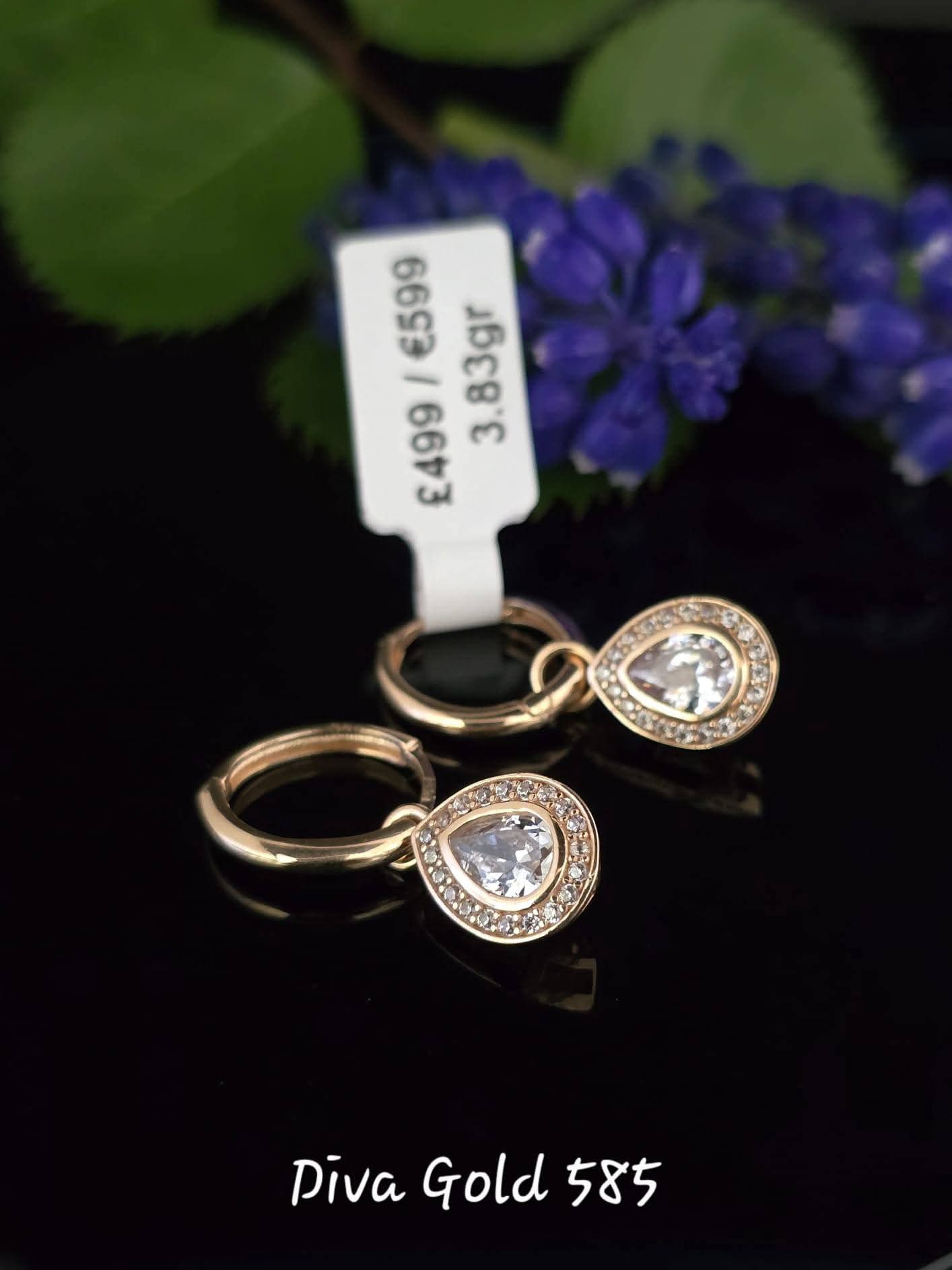 585 Gold earrings. 3.83gr