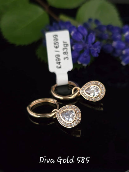 585 Gold earrings. 3.83gr
