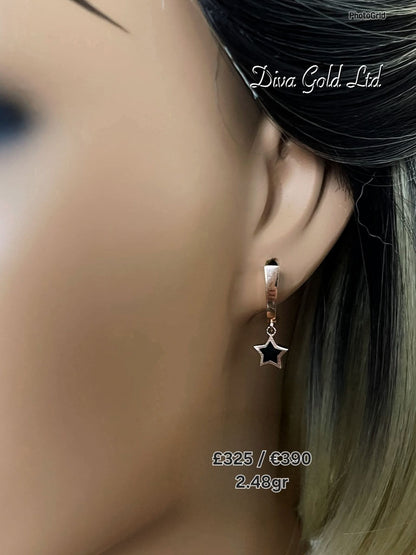 585 Gold earrings. 2.48gr