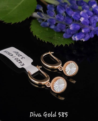 585 Gold earrings. 3.20gr
