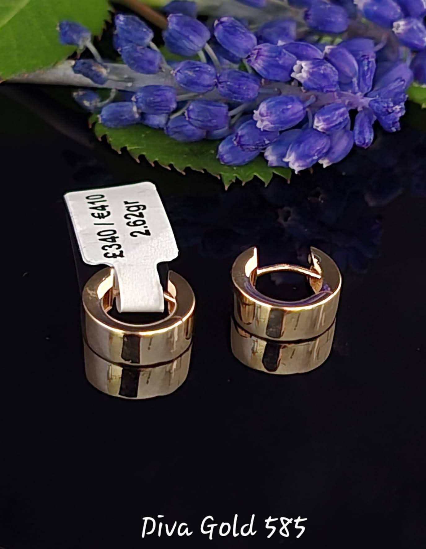 585 Gold earrings. 2.62gr