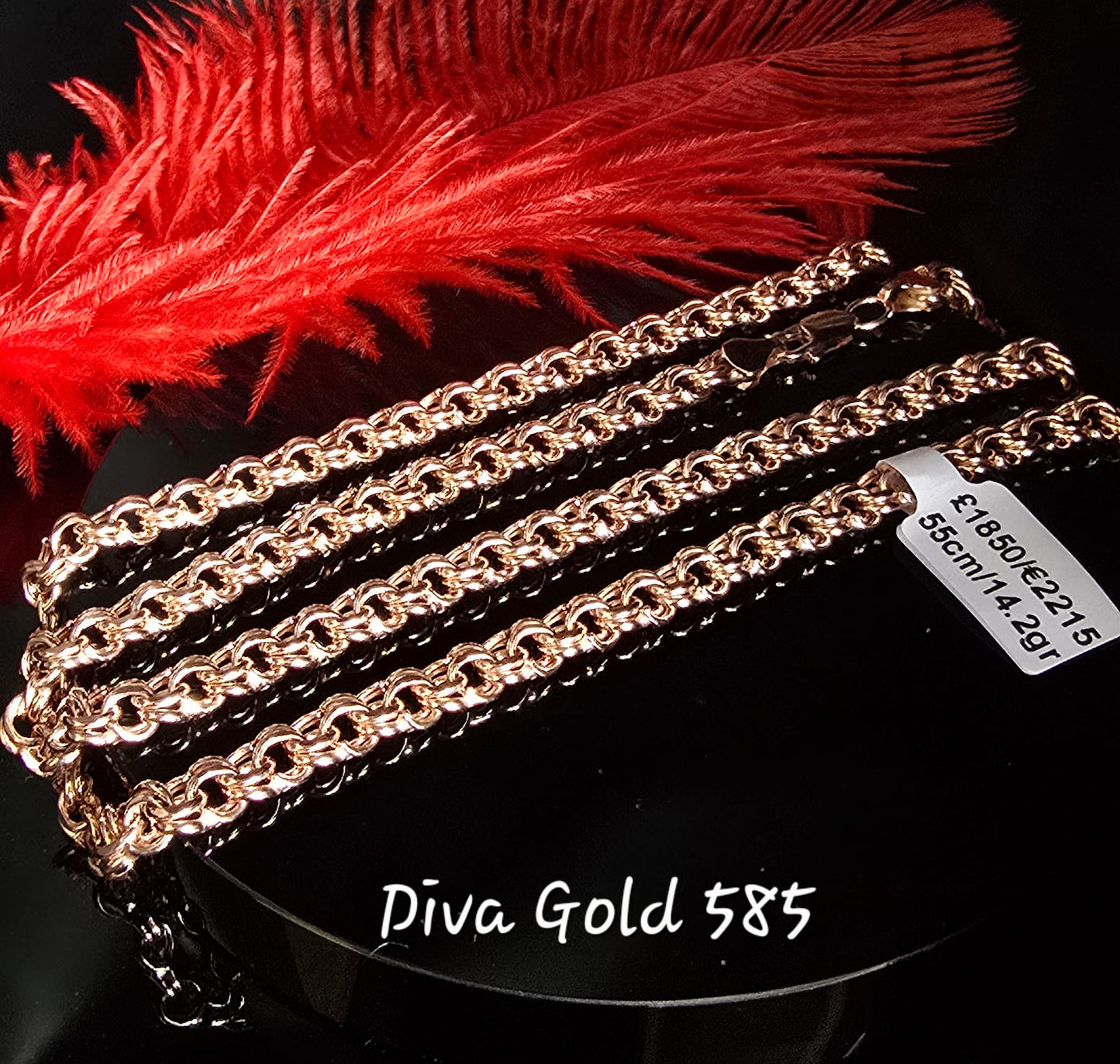 585 Gold chain 55cm