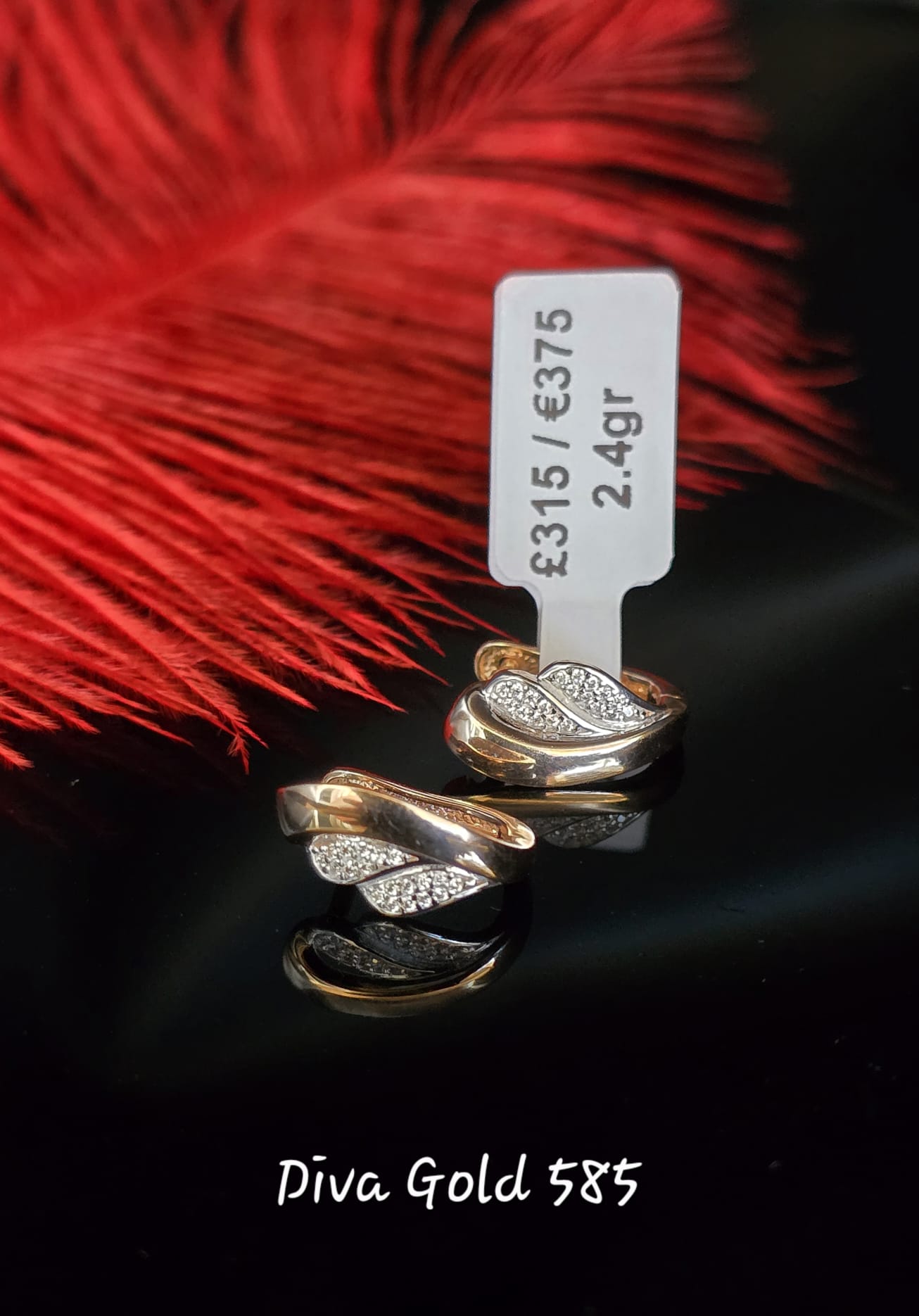 585 Gold earrings. 2.40gr