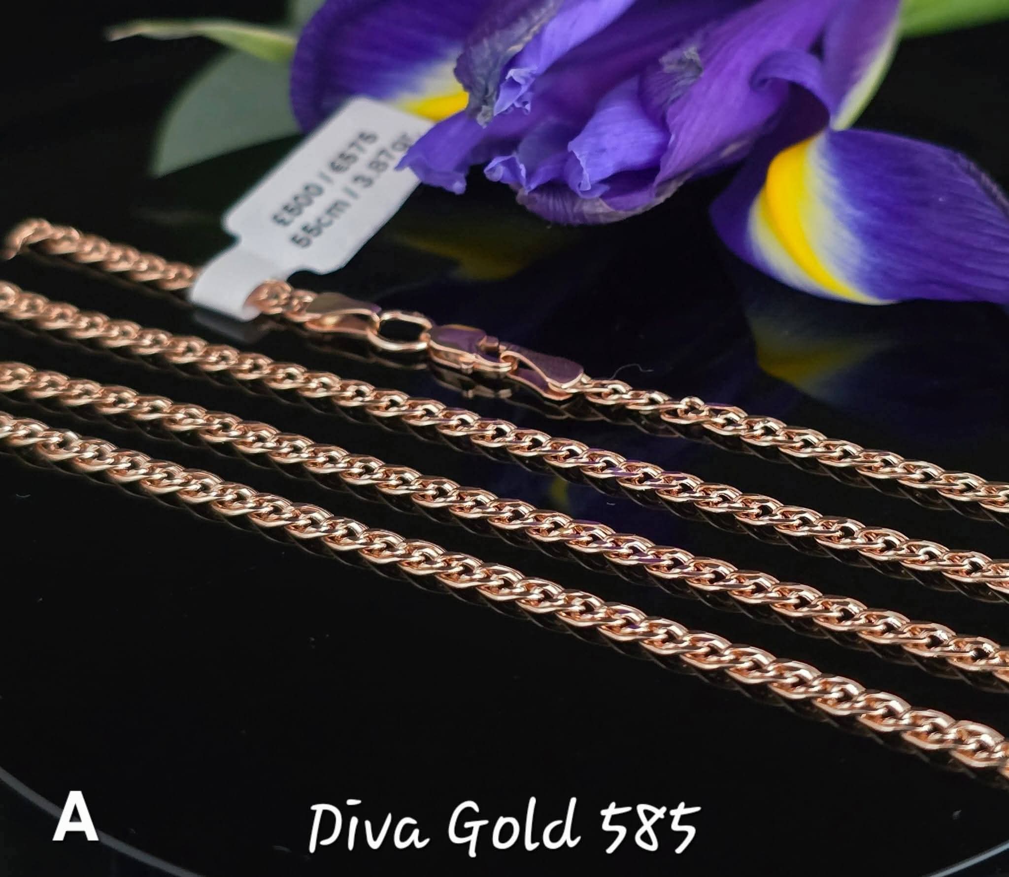 585 Gold chain. 55cm