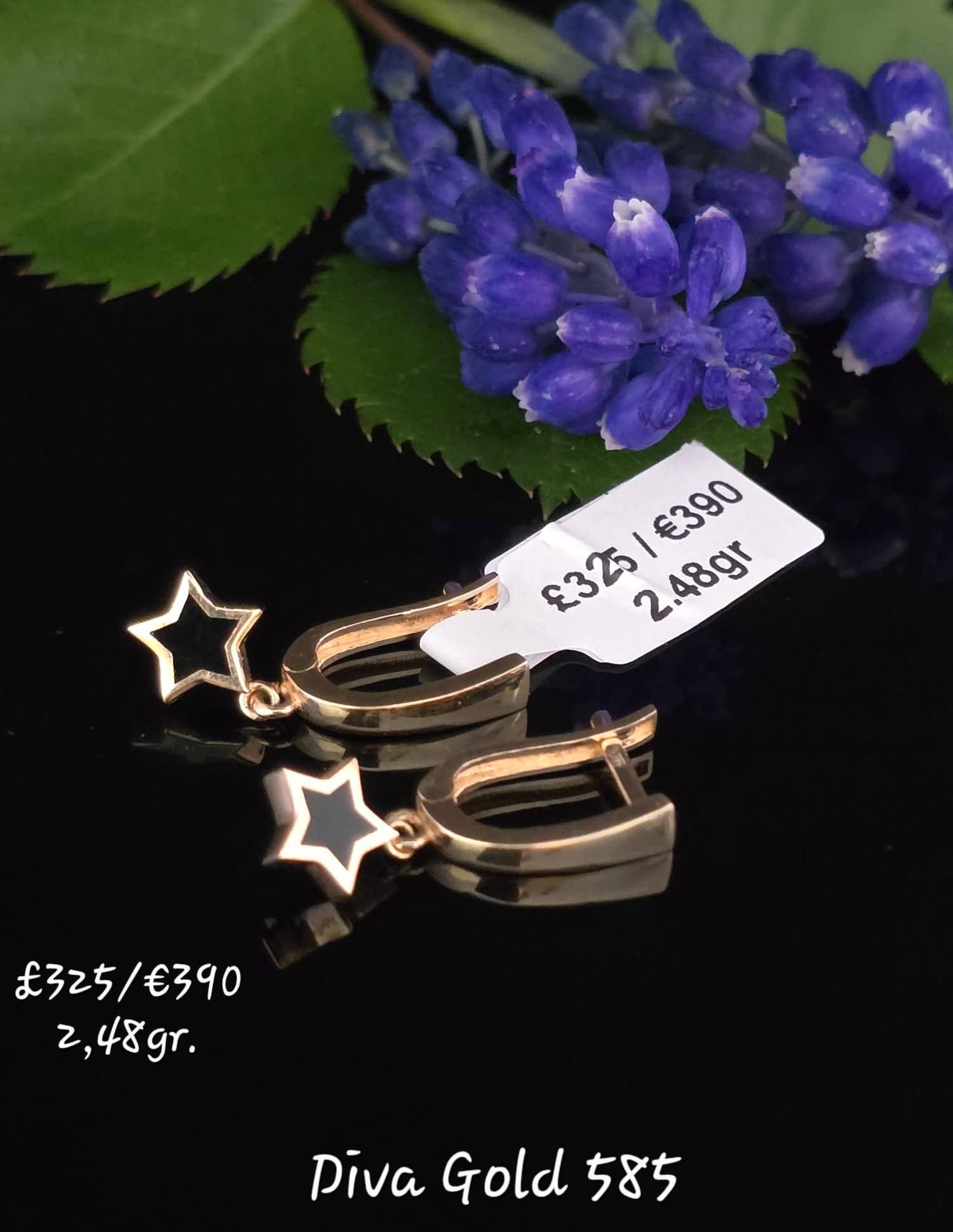 585 Gold earrings. 2.48gr