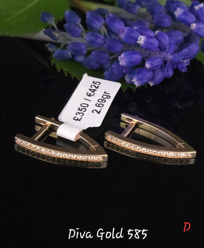 585 Gold earrings. 2.69gr