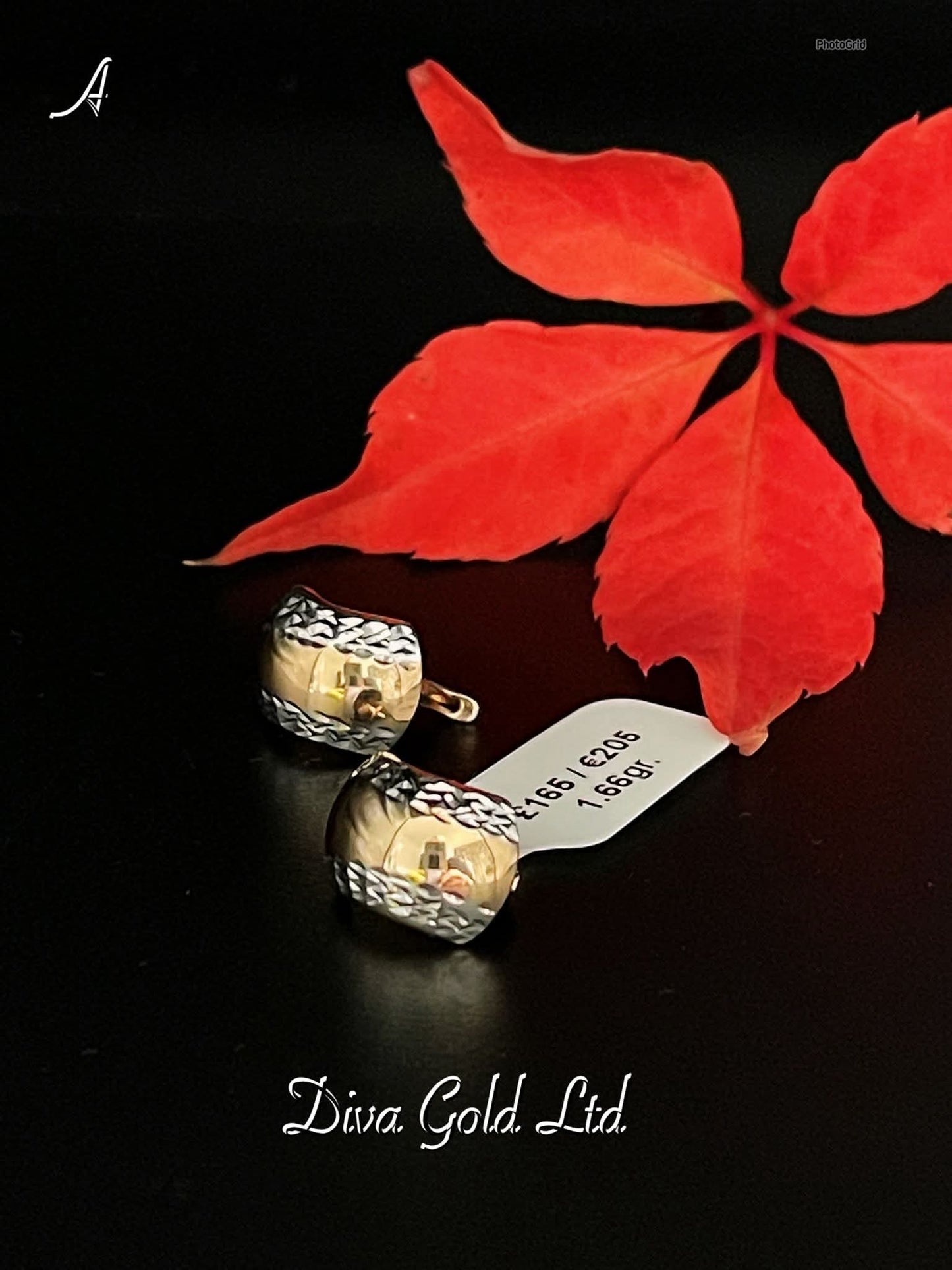 Gold 585 earrings with white gold details