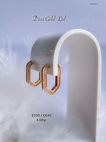585 Gold earrings. 4.08gr